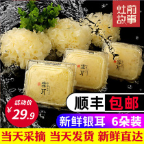 The story before the stove Fresh silver fungus 6 pieces 700g live fresh white wood fungus Now pick now hair waxy snow fungus non ugly ear dry goods