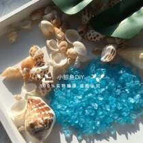 Small whale DIY ocean wind accessories conch shell handmade ashtray filler