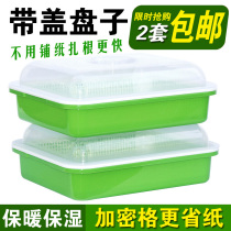 Dispensers Recommended Sprout Fry Dish Nursery Tray With Lid Insulated Seedling Basin Encrypted Gbean Sprout Pan Hydroponic Planting Pan
