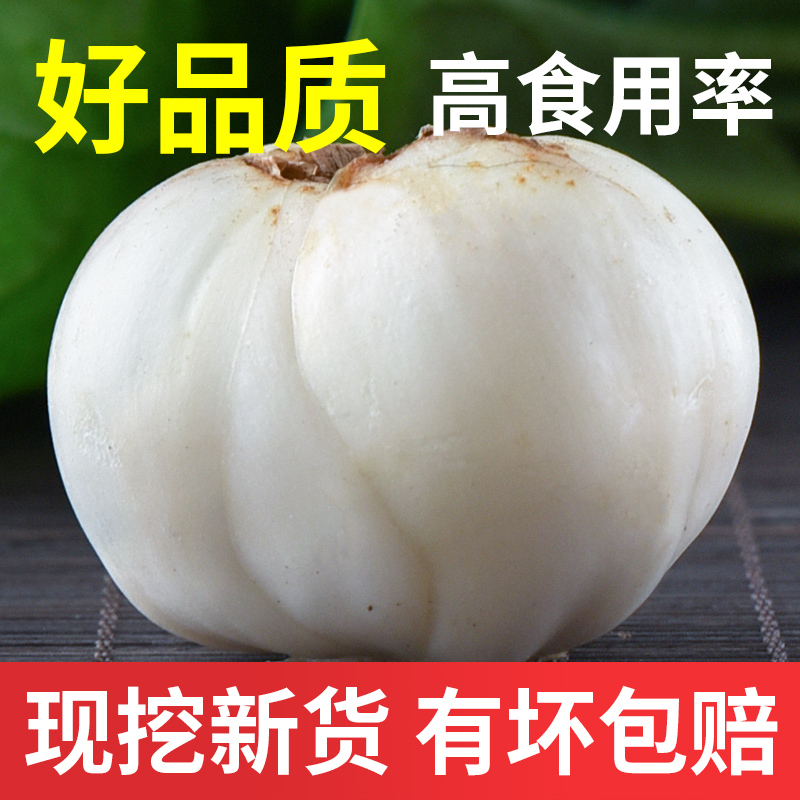 珍世夫 兰州新鲜百合500g 