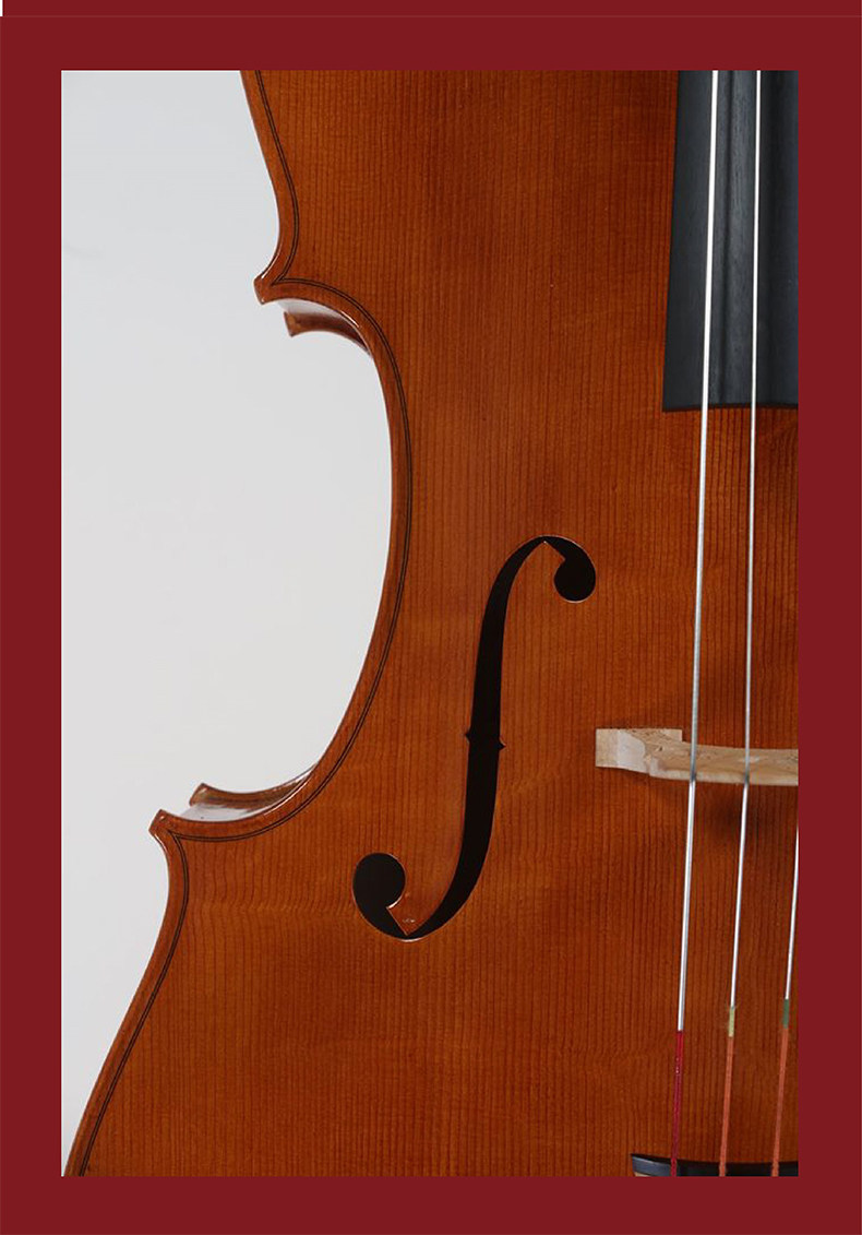 Виолонициатор 1111_16.jpg