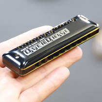 Suzuki Suzuki MR300 mr-300 Hand pressure ten 10-hole Blues harmonica Beginner Adult student