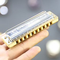 Germany Hele Hohner MBC Marine Band Ten 10-hole Blues harmonica Beginner Adult Professional
