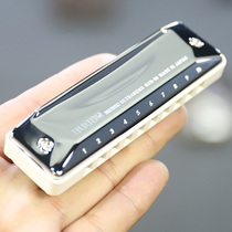 Japan Suzuki sub30 ten-hole blues harmonica beginner student Adult 10-hole blues major