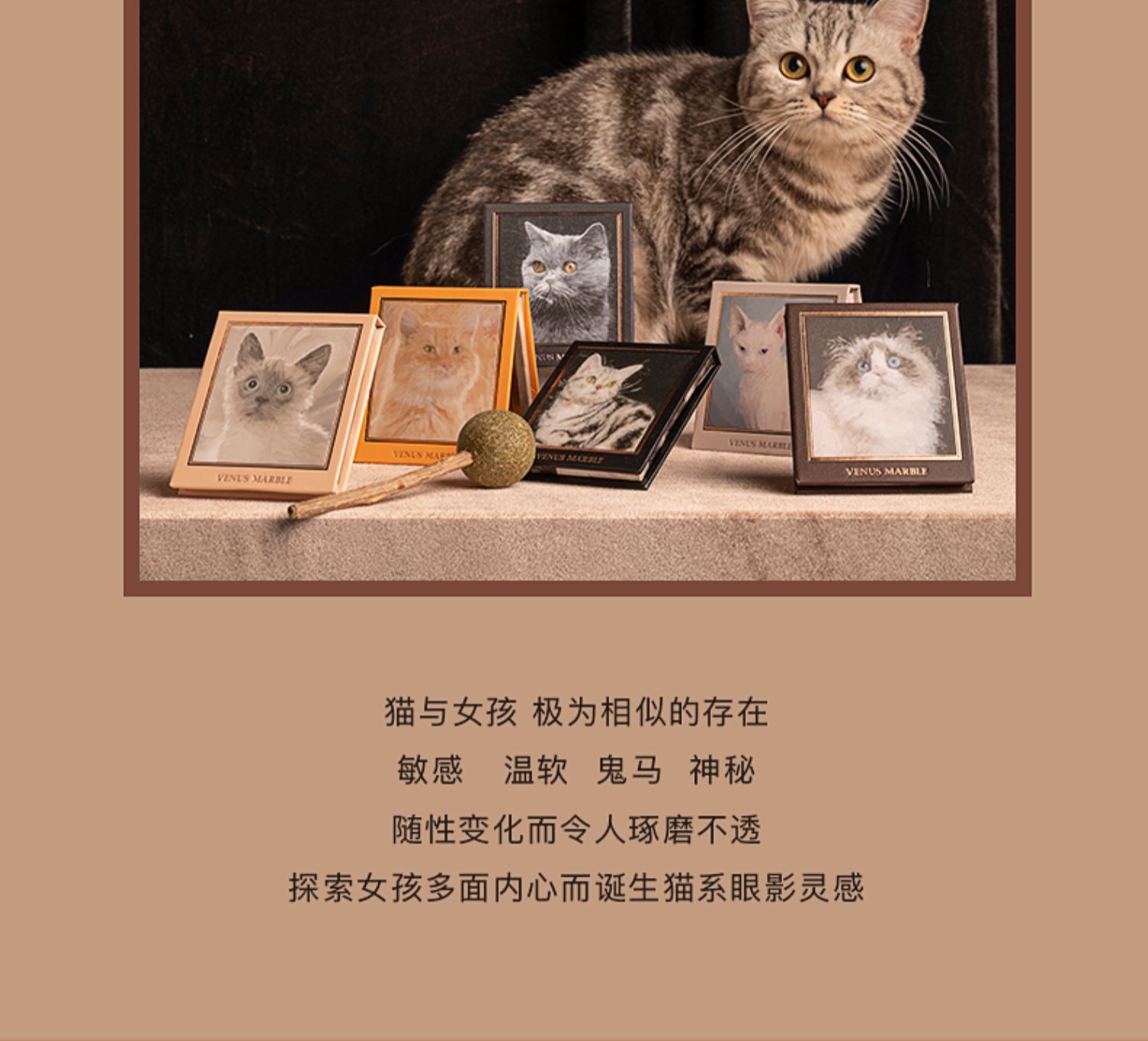 买1送1发两件!VM猫系列大地色眼影盘