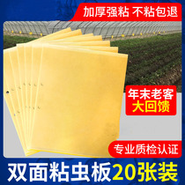 Yellow plate double-sided sticky insect board Trap board paper paste yellow flying insect small black Flying Fruit Fly trap sticky board greenhouse