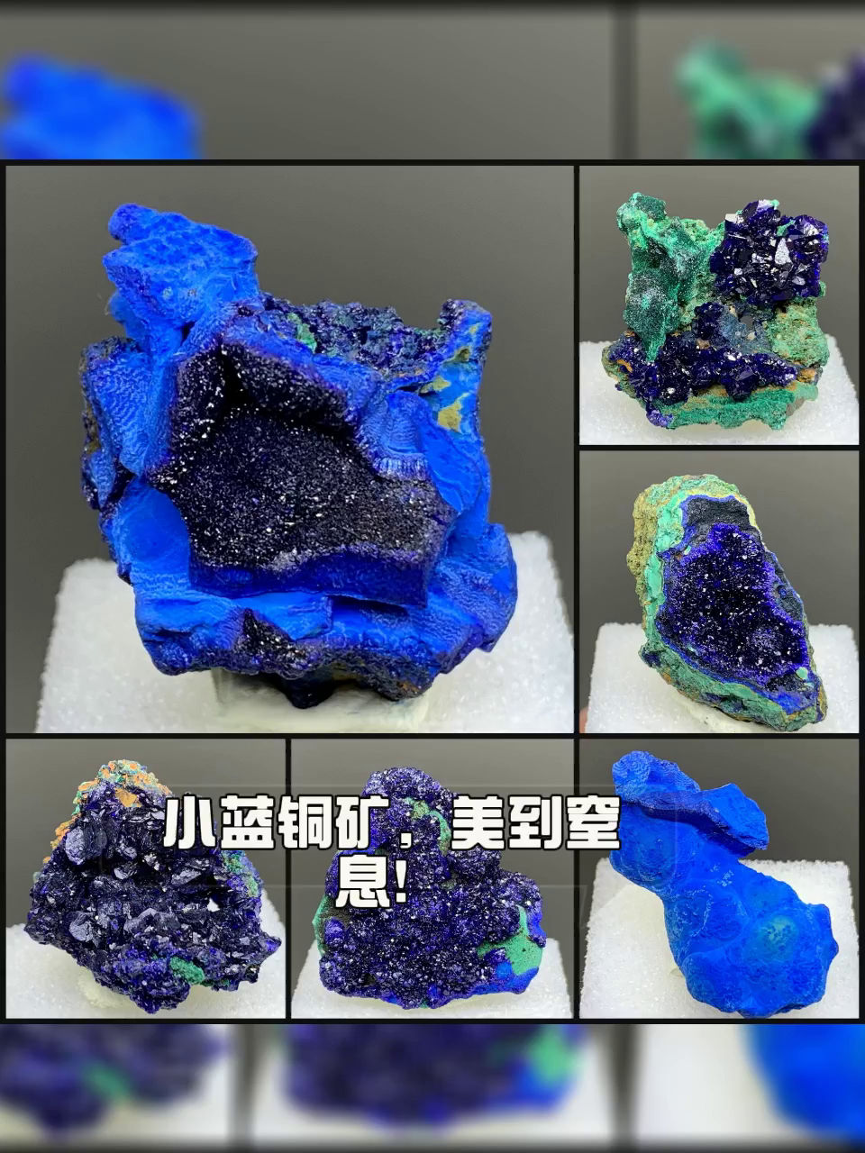 極美品 天然 蓝铜矿 × 孔雀石 共生標本 クリスマスツリー状 鉱物芸術品 蓝铜矿宝石图片长啥样？天然蓝铜矿孔雀石共生标本实物图鉴🔍 - 好物