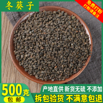 Winter sunflower seeds winter sunflower seeds sunflower seeds sunflower seeds amaranth seeds east sunflower seeds 500g Chinese herbal medicine shop