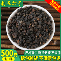 Eleutherocococcus parsonna seed 500g Eleutheroccals to The Northeast Fresh Sleep Special Grade Fruit Chinese herbal medicine shop