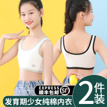 Hair Development Period Anti-Bump Girl Students Underwear for girls Primary school students Primary and secondary school students small vests bra children bra
