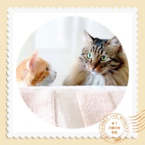 Meow material postman special shot gift freight refund postage other fee 1 yuan special shot