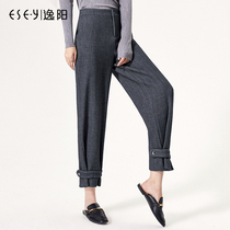 Yiyang womens pants 2020 autumn and winter New Korean version of thin nine casual pants womens large size loose Haren pants 2855