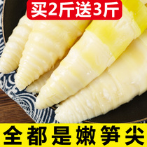 Bamboo shoots Fresh bamboo shoots Wild small bamboo shoots Jiangxi farm specialty clear water bamboo shoots Spring bamboo shoots hot pot bamboo shoots tender bamboo shoots