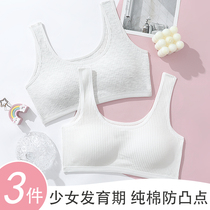 schoolgirls' underwear developmental thin summer pure cotton girl junior high school student inner vest bra