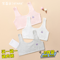 Teenage Girl Underwear Pure Cotton Elementary School Kids Bra Hood Hair Care Early Birth Junior Vest Adolescence Underpants Suit