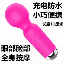 On-board small strong shaking massager Charging cute portable ladies Vibrating Massage Stick Waist Cervical Spine Multifunction