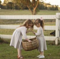 Tulle dress girl ins sweater knitting text description translation illustration non-finished shot note mailbox