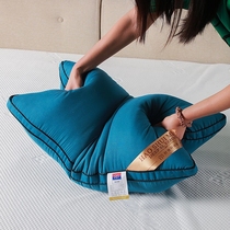 A pair of Home Hotel student pillow case washable pillow