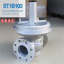 Italy giuliani anelloST1B100 Natural Gas Regulating Valve ST1B100 Compensation Membrane Spare Parts Package