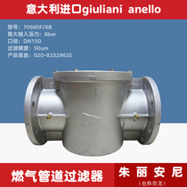 Italian gas filter 70660F 6B DN100 flange pressure regulating valve pre-filter equipment filter element