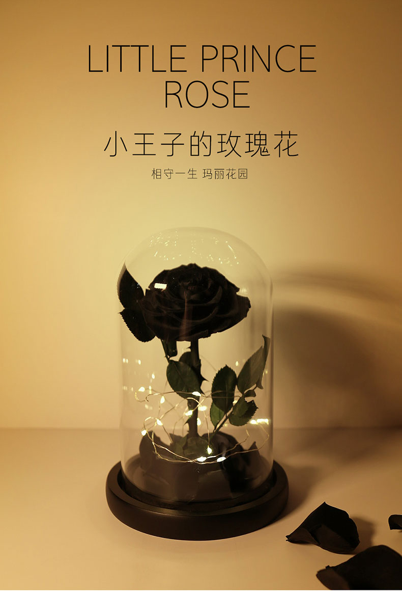 花玻璃罩小王子真花束黑玫瑰生日七夕情人节送女友礼物盒礼品
