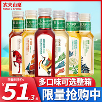 Nongfu Spring Oriental Leaf Green Orange Puer Xuanmi Black Tea Jasmine Tea Sugar-free Oolong Tea Beverage Flagship Store