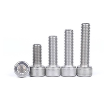 Stainless steel plate screw M10