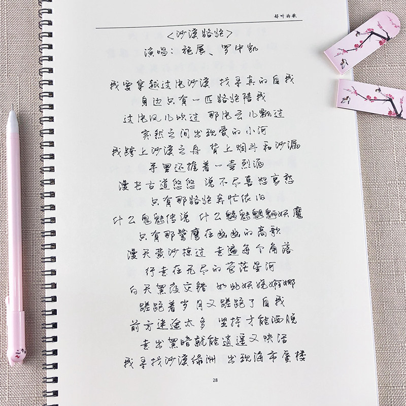 抖音歌曲歌词字帖行书行草成人硬笔书法练字帖草书临摹潇洒手写体_找