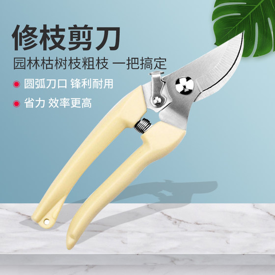 Pruning branches, scissors, pruning branches, garden thick branches, fruit tree flowers, bonsai garden flowers, solid flower art, pruning branches, scissors
Pruning branches, scissors, pruning branches, garden thick branches, fruit tree flowers, bonsai garden flowers, solid flower art, pruning branches, scissors