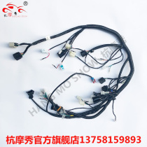 Earth Eagle King Street Fighter DD250E-9A 9C All Car Line Body Wire Main Cable Ignition Line