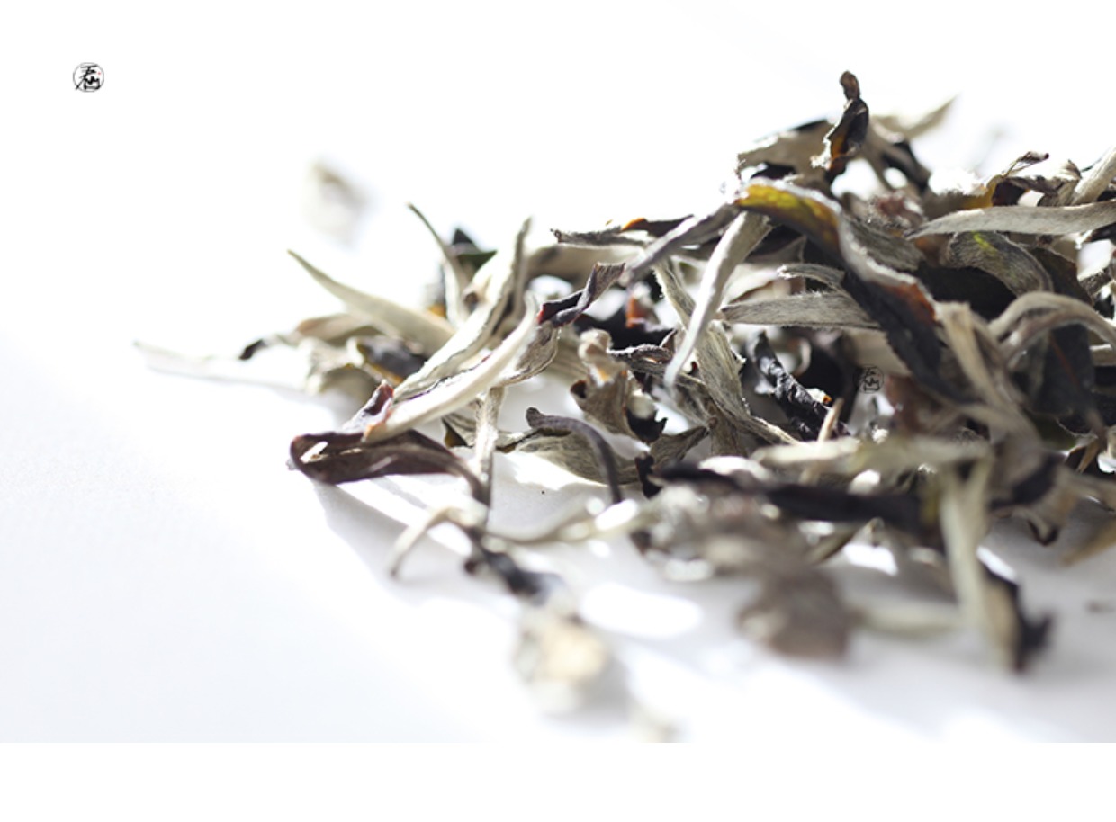 古树月光白 景谷秧塔古树白茶 柔甜厚韵耐泡白牡丹级白茶 包邮