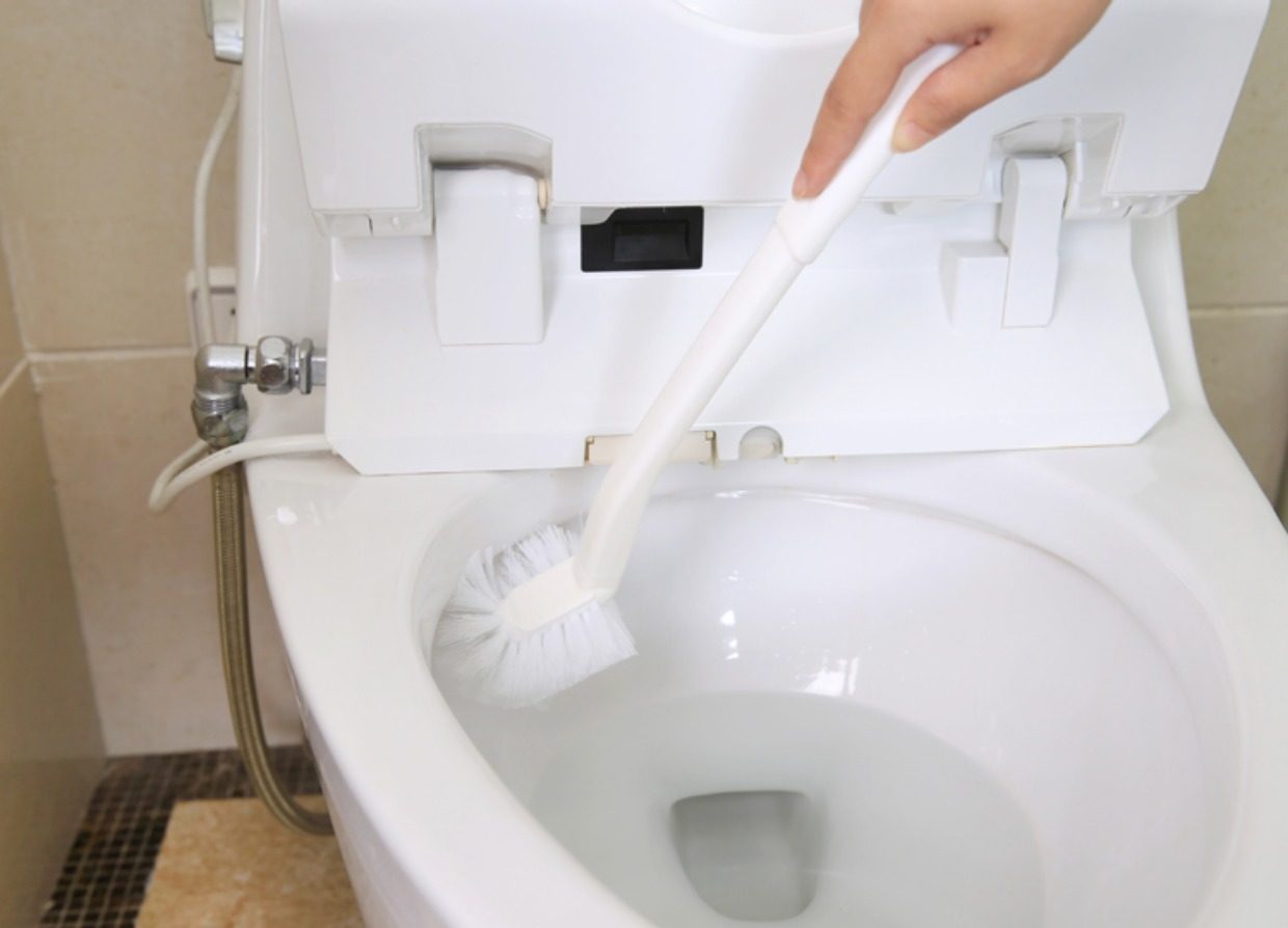 日本马桶刷洗厕所刷创意浴室长柄软毛刷卫浴清洁刷子无死角洁厕刷_淘