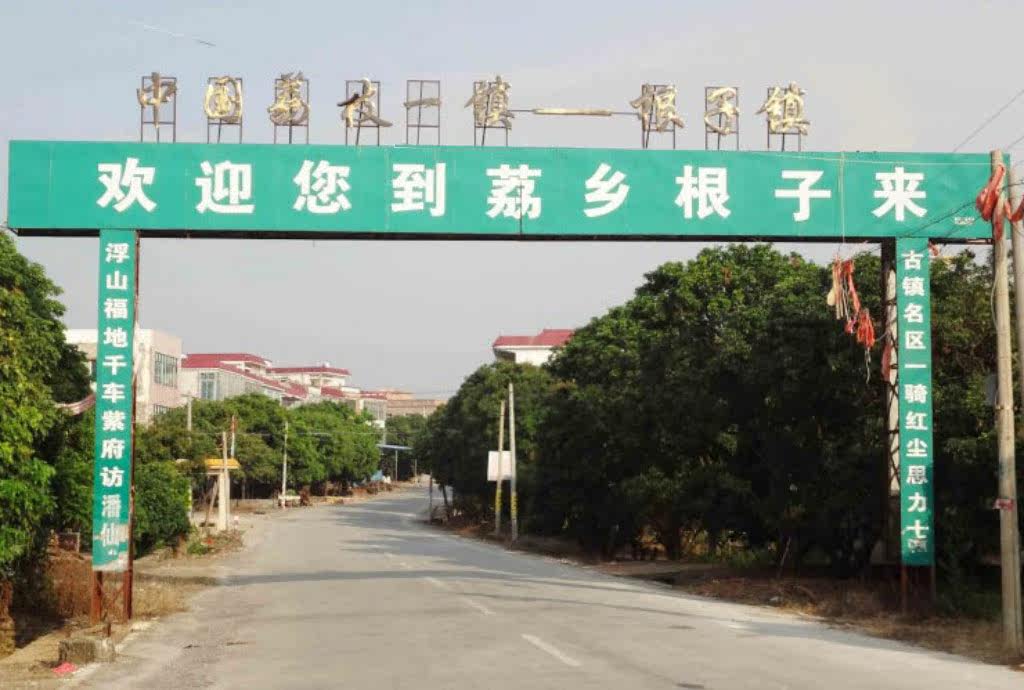 根子镇-中国荔枝产区镇