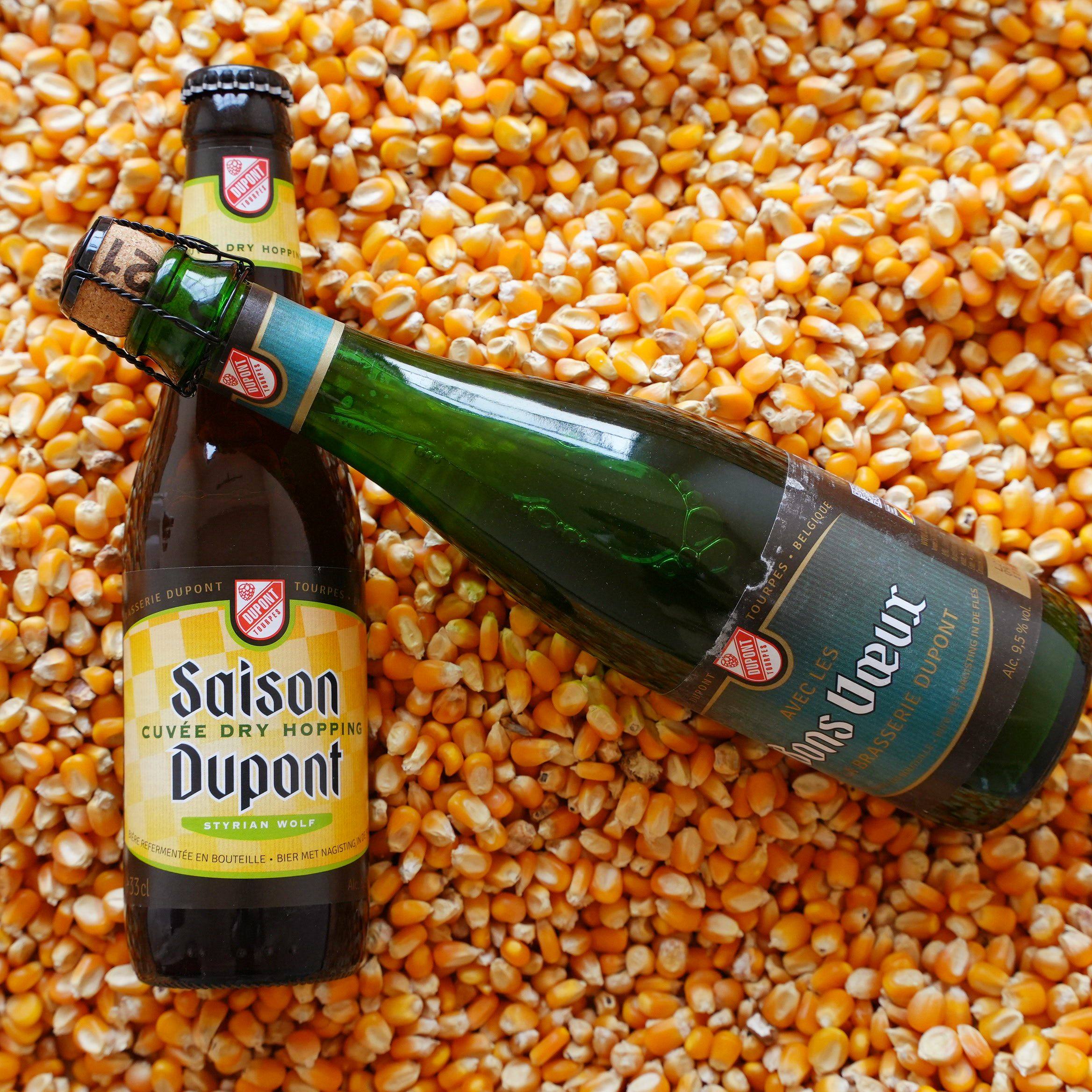 啤酒夜行记 比利时杜邦莫奈金烈性艾尔/美好祝愿冷泡啤酒花赛松