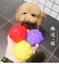 Small Puppy Toys Ball teddy Bears Bear Dogfight Resistant to Tooth Sounding Rubber Balls Golden Hair Large Canine puppies Supplies