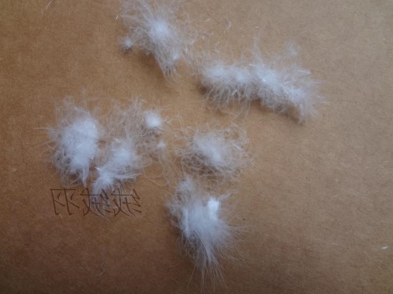 散装羽绒 5%低分绒小羽毛绒片羽绒服被填充物原料半成品一两价格