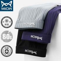 Cat Human Ice Silk Briefs Male Antibacterial Lining Summer Thin Flat Corner Shorts No Mark Breathable Trendy Corner Pants Underpants Underpants