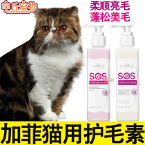 Pet Gaffi Cat Special Bath Amberlin Hair Care Vegan Hair Cat Softly Unknotted Fluffy Shiny Hair Products