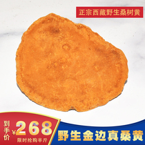 Mulberry yellow wild 250x Tibetan authentic prickly hole bacteria Phnom Penh natural