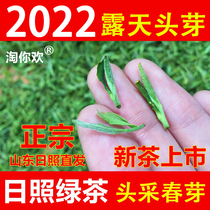 Shandong Zhizhao Green Tea 2022 New Tea Alpine Open-air Head Picking Spring Buds Sprout Bagged Intense Aroma Type Spring Tea 500g