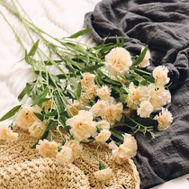Long single carnation simulation bouquet flower arrangement Mothers Day fake flower home decoration flower living room decoration table decoration