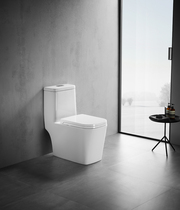 R - Set Geberit Water Parts Full Pipe Enlaced Square - sucked Toilet