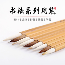 Brush Wolf Hao and Hao Shem Pen Head Set Beginner Student Painting Thin Gold Body Lili Xingshu Wenfang Four Treasures Baiyun Pen Small Kai Practice Chinese Painting Calligraphy Brush Wholesale
