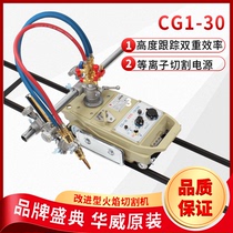 Warwick CG1-30 semi-automatic flame cutting machine small turtle track cutting machine modified