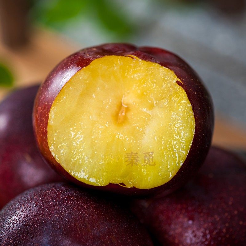 【5斤】现摘现发脆红李子水果