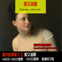 (Scarcity) Jacques Louis Dawei beauty oil painting copy material HD picture electronic version
