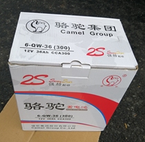Camel 6-QWLZ-36AH battery 12V36AH battery Camel maintenance-free battery 36ah battery