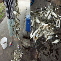 Wire mesh adhesive mesh single layer three layer one finger 5678 eye floating net SunNet fishing net fishing net fish hanging