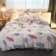 Mùa đông dày tuyết len ​​bốn mảnh hai mặt flannel giường lanh flannel quilt san hô lông cừu giường - Bộ đồ giường bốn mảnh