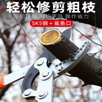 Fruit tree cutting flower pruning branches scissors fruit tree cutting flower art Arrize household cut grass flower high-altitude hardware green plant
